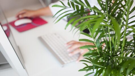 Wakacje składkowe zus