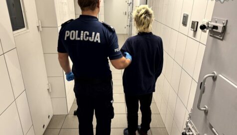 Zabojstwo w dabrowie gorniczej