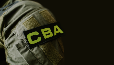 Zatrzymania przez cba