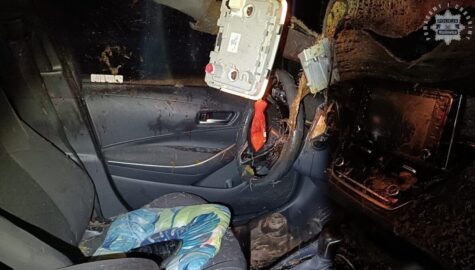 Zderzenie z łosiem na s1