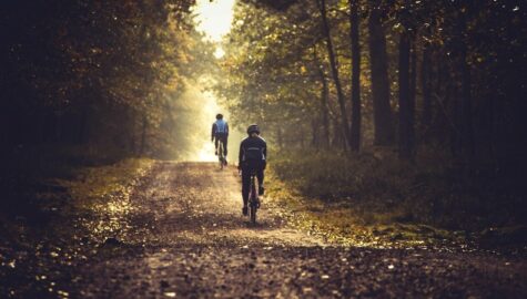 Zdrowie układu nerwowego