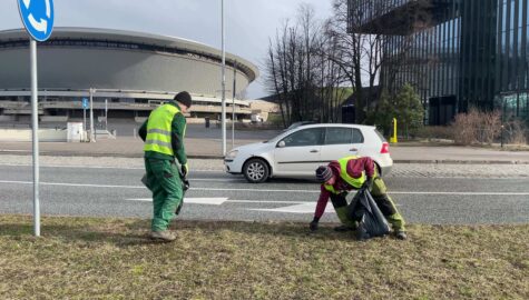 Śmieci porzucone w terenach zielonych 1