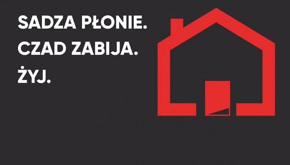 1631009354sadza