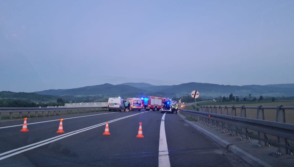 196160157 1930086557165778 4782293846154823904 n