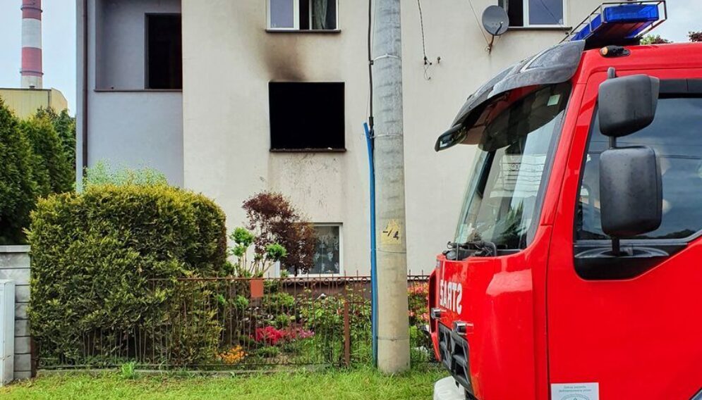 196594260 141460658045249 3097674578502429769 n