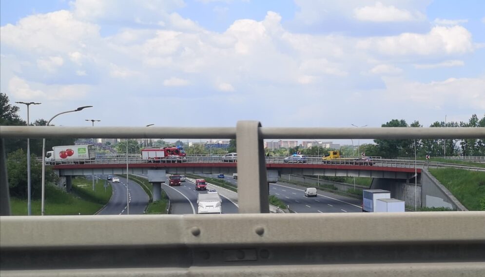 198289222 1844861529032248 6234455694041667271 n