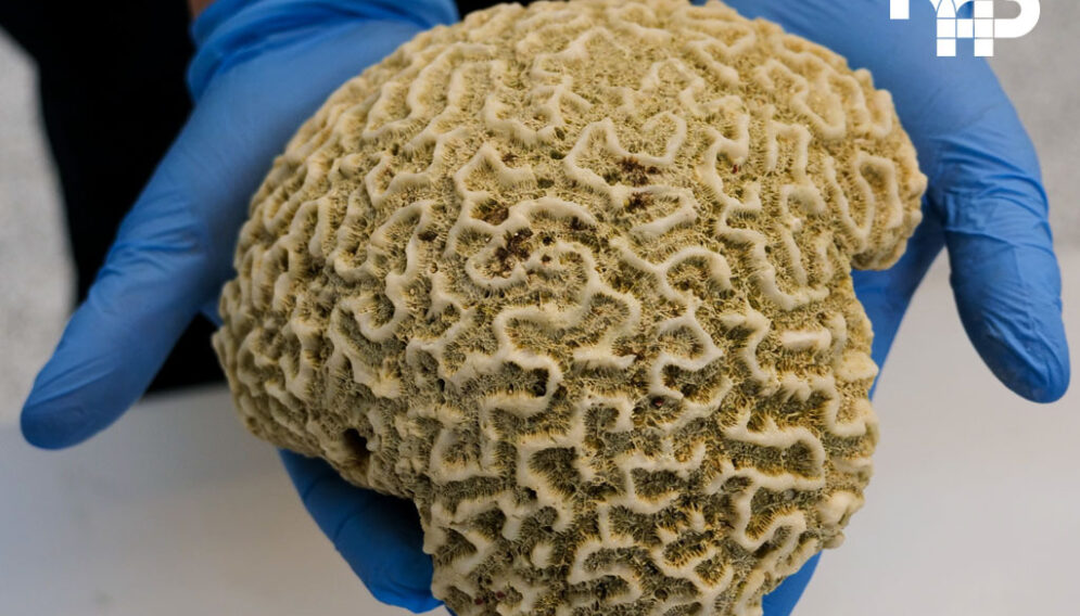 202104300102