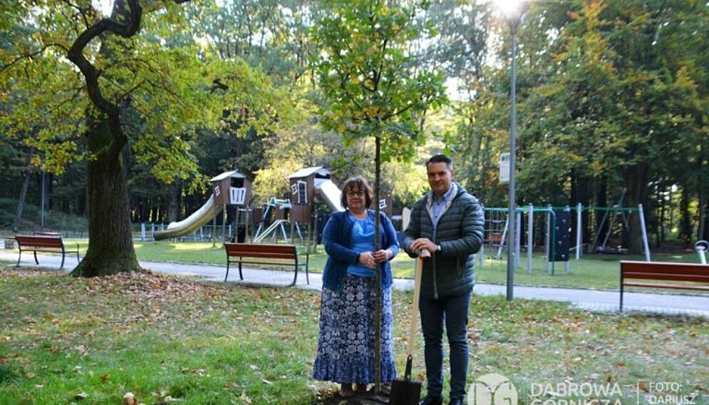20211008 008 pl dg zielona park zielona jesienne sadzenie drzew 768x512