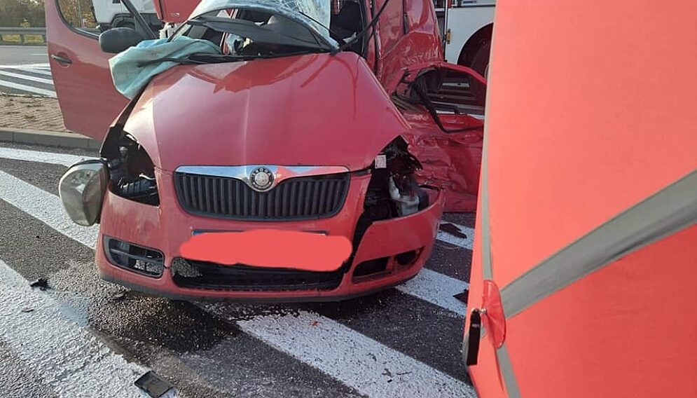 243347138 1506290439722959 2005732658085796676 n