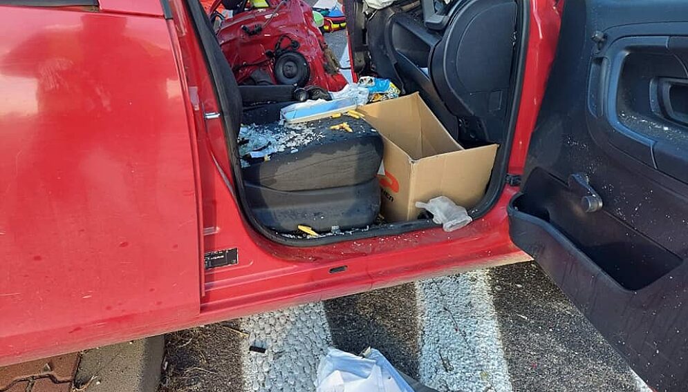 243359959 1506290519722951 4285825851764437066 n