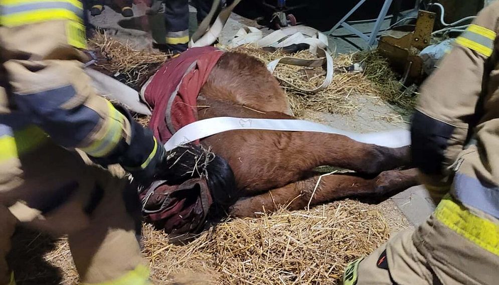 271852170 228958866085319 8249487719069598778 n