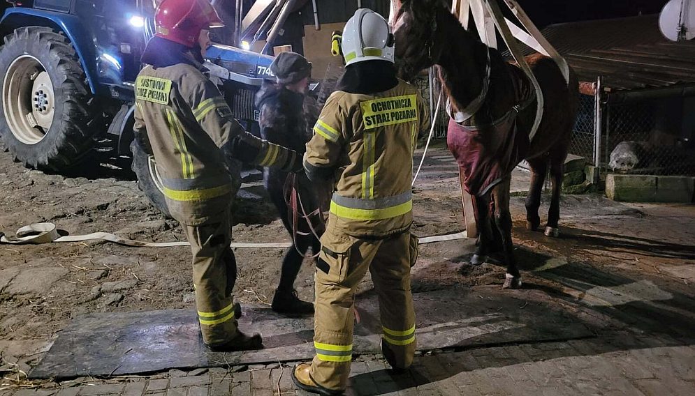 271888948 228958912751981 971657316143845940 n