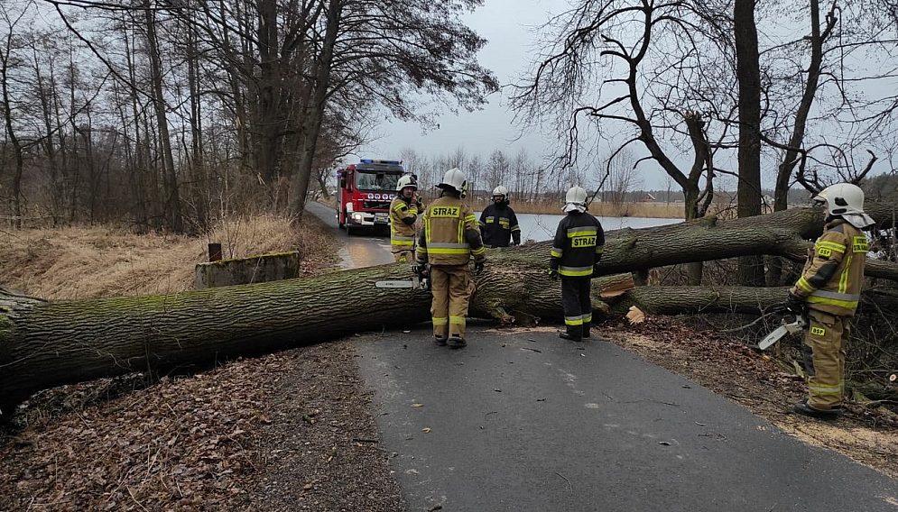 273897245 270975681819230 3044034534057947661 n