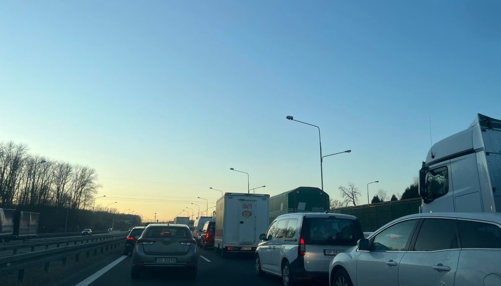 274594793 969618130335619 265864853148200871 n