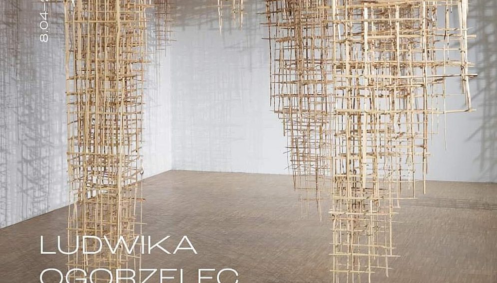 275482232 1164280147647632 3773634564132719140 n