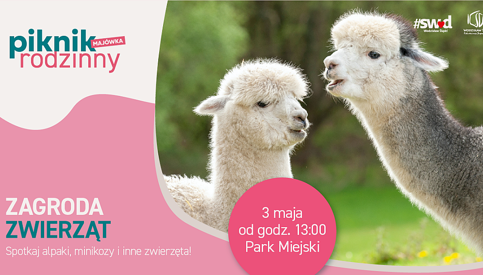 278836974 5542446329156081 2925119099570056250 n