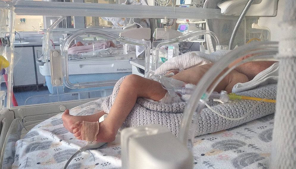 281590510 792855892121397 8482288828129027054 n