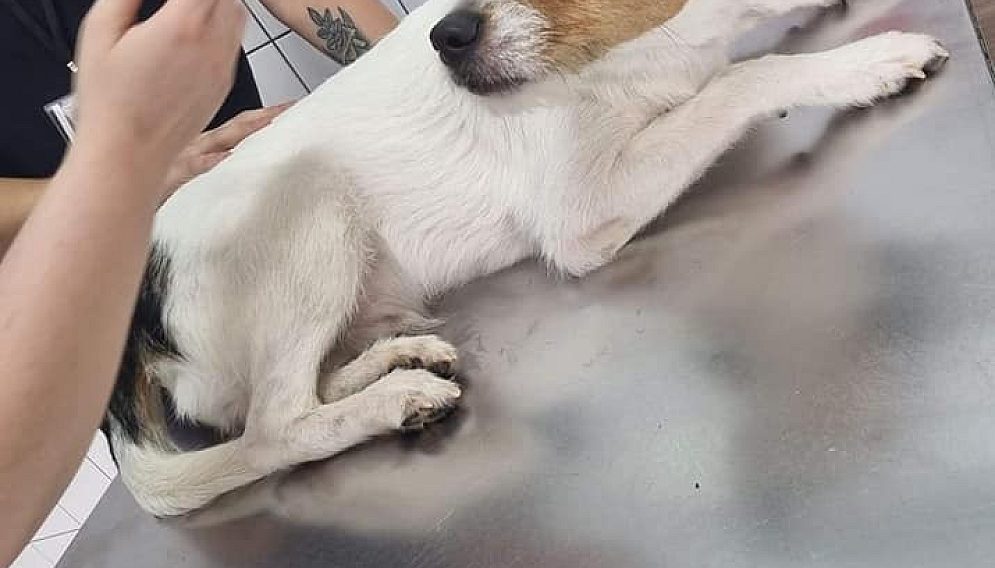 291602846 405228484981920 5799172364490299400 n