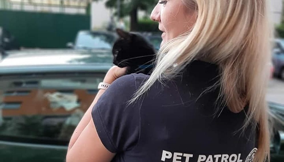 299400960 436311918540243 1655913162073848028 n