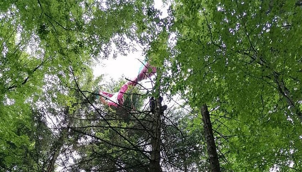 355243327 575195164791022 8736479146890467382 n