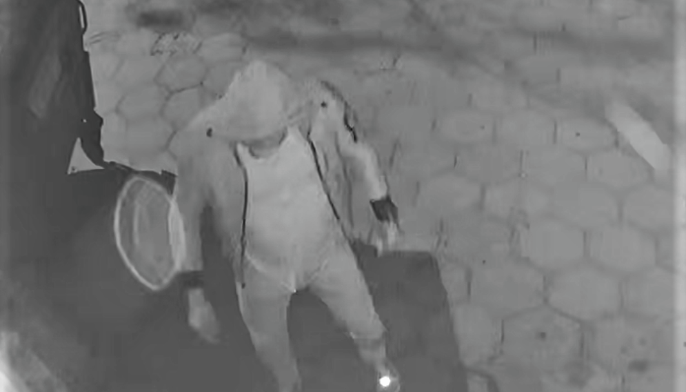 36 716083