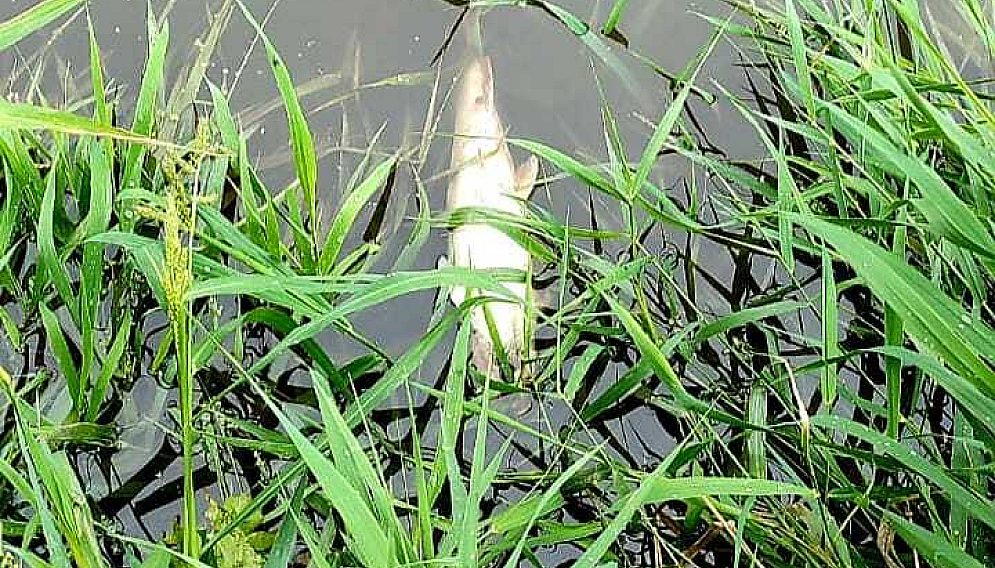 369720575 839093278018410 2960836203762937999 n