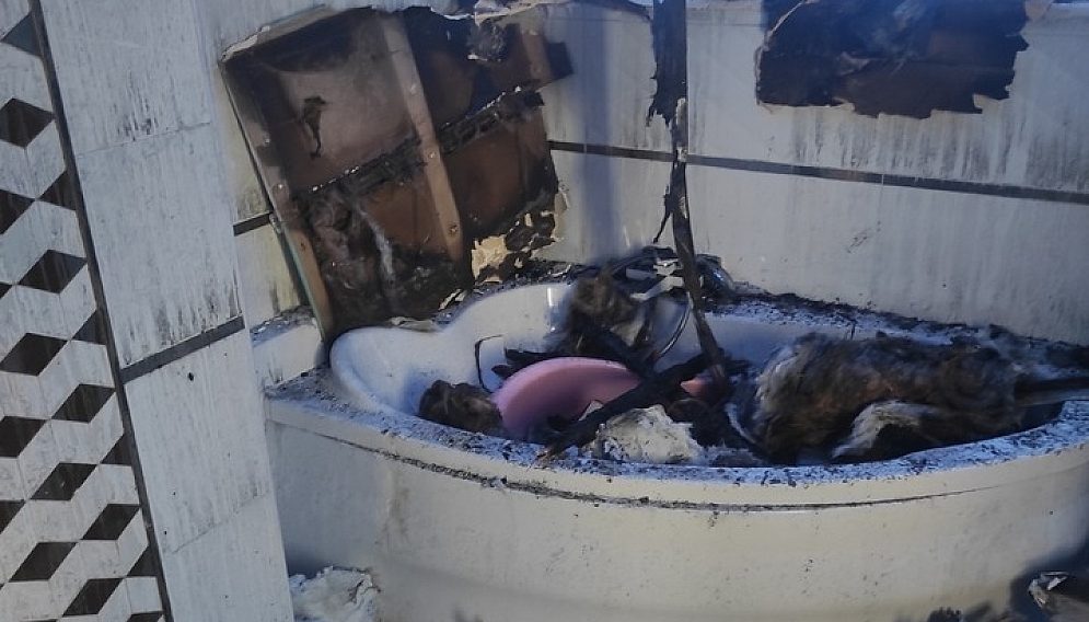 369801606 690945243069377 7606036499267834908 n