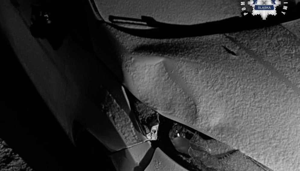 407780441 744859474344620 2584992737507439728 n