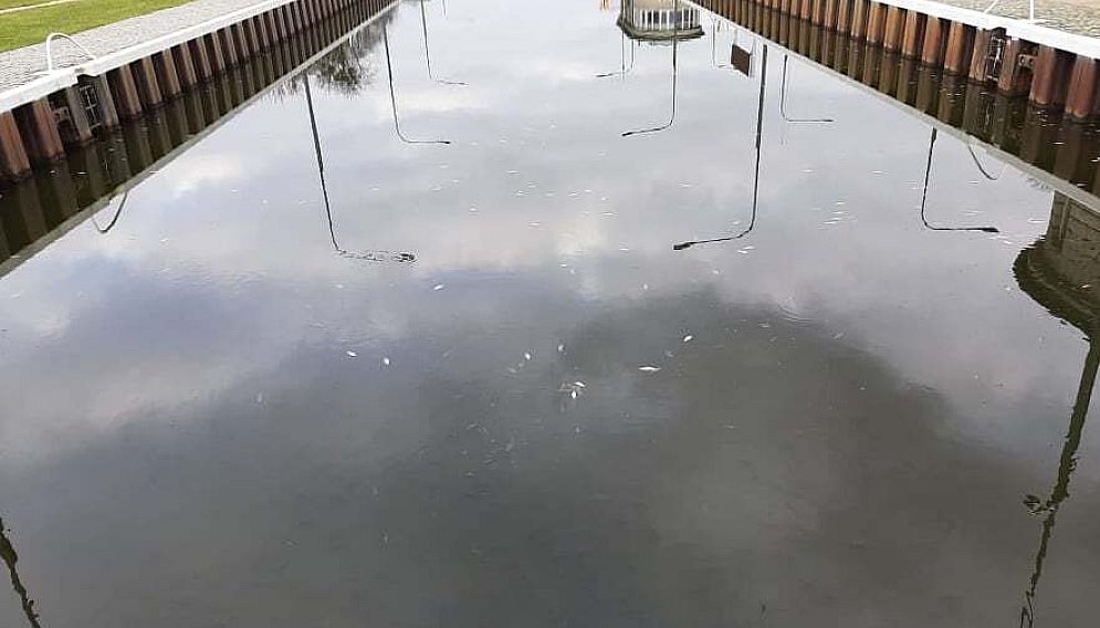 417358296 410392104821793 963424646465569042 n