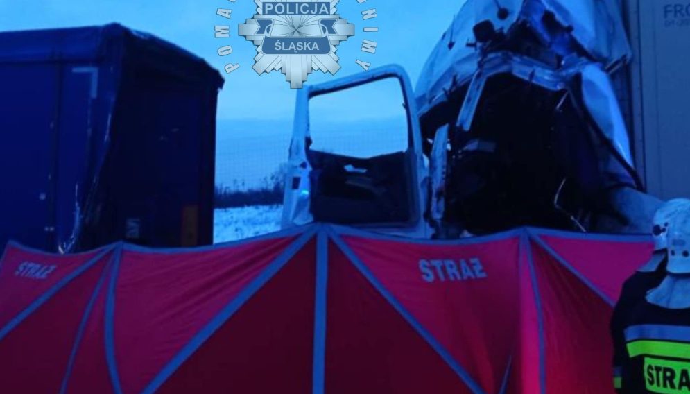 420055190 771467608350473 7349575642458816499 n