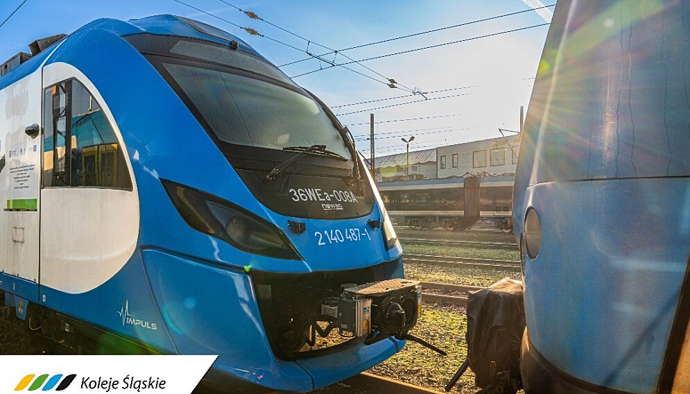 434033492 1009365510636574 859067602505539014 n