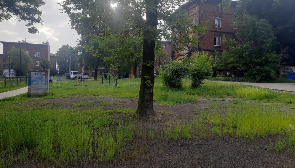 447469552 980658797399838 5238002268273762376 n