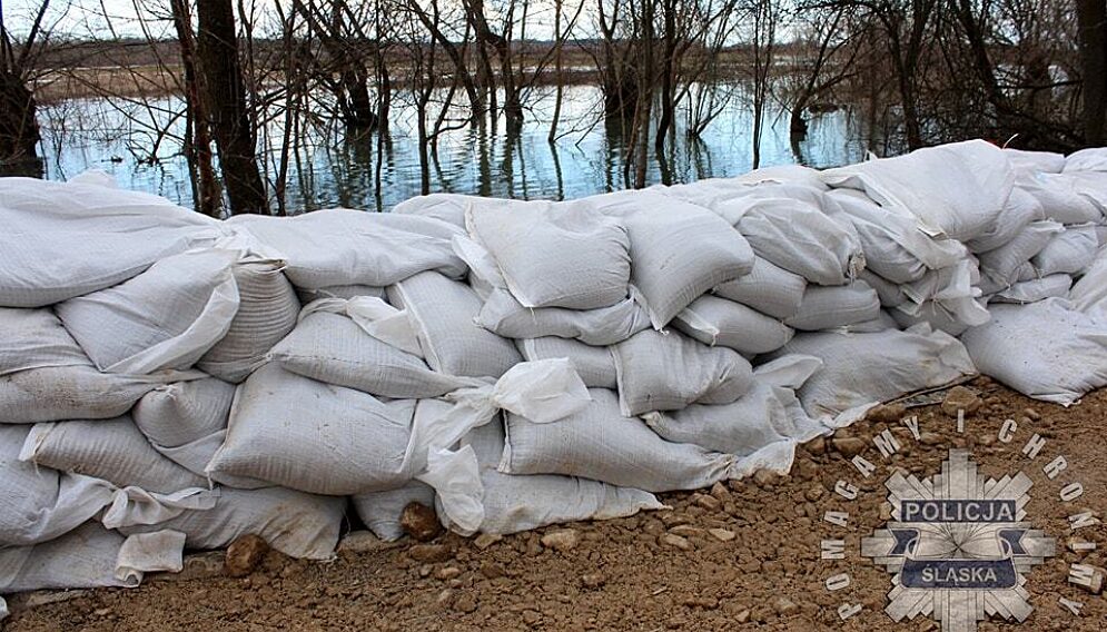 460915191 933498928814006 4373474199708772840 n