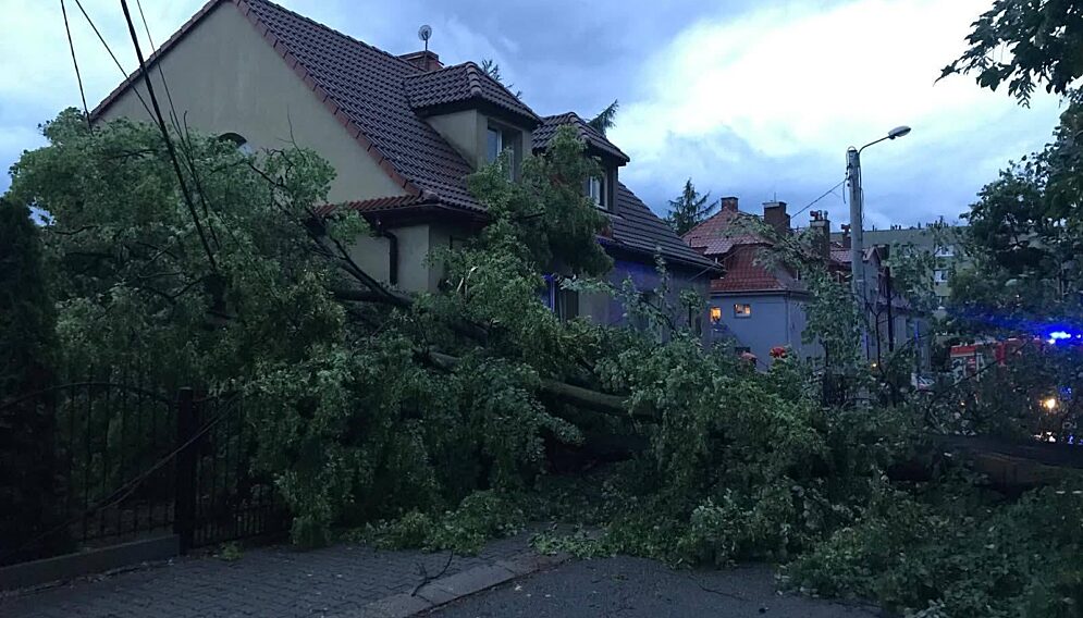 504274560 122211014894161828 8224848894739678401 n