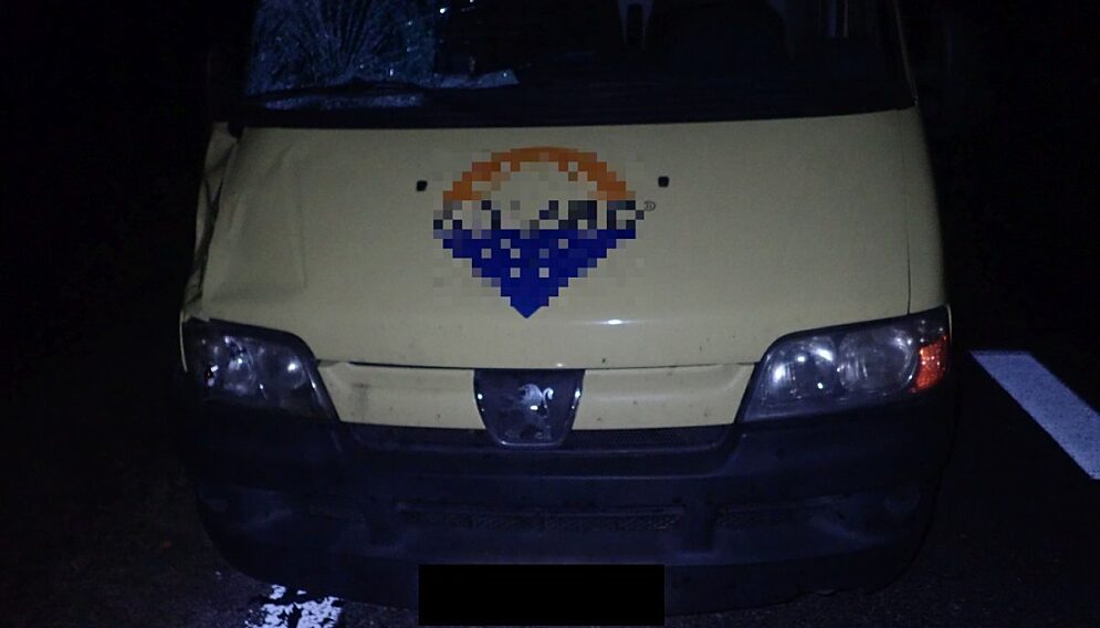 52 675931
