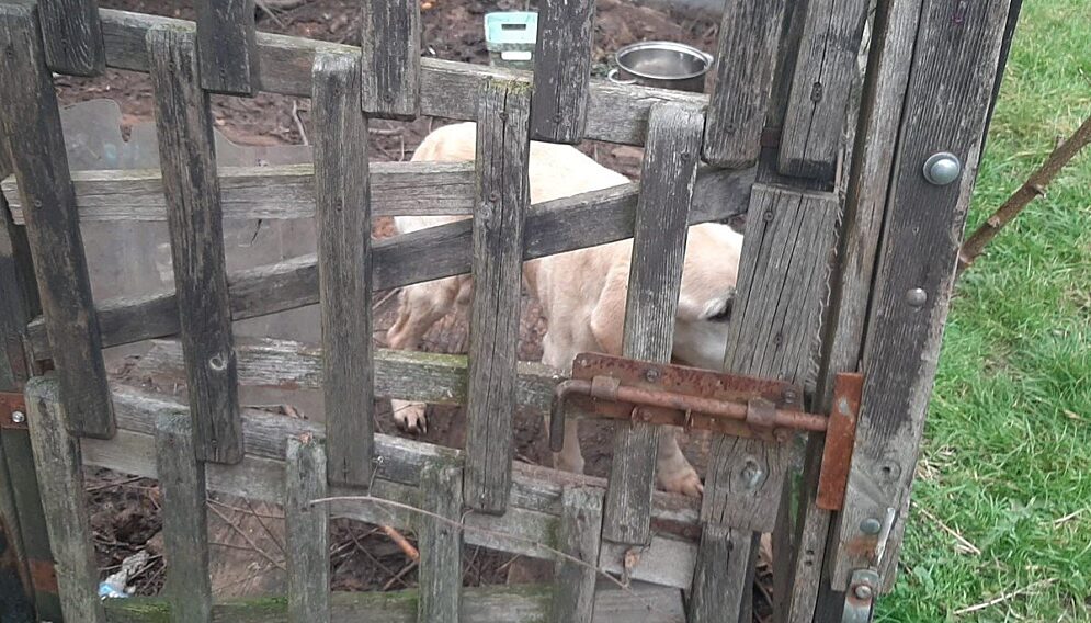 fot. KPP w Wodzisławiu Śląskim