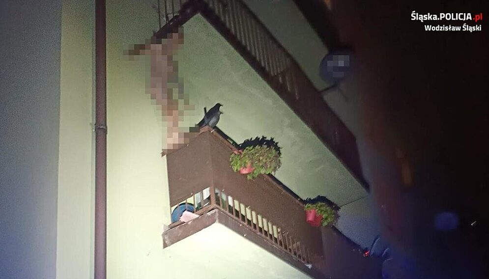 nagi wspinal sie po rynnie