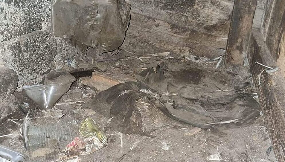 interwencja Pet Patrol w Żorach