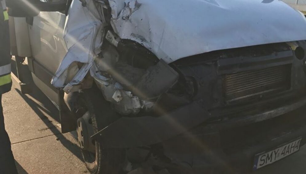 78858154 1008452206173454 3080384071205912576 o