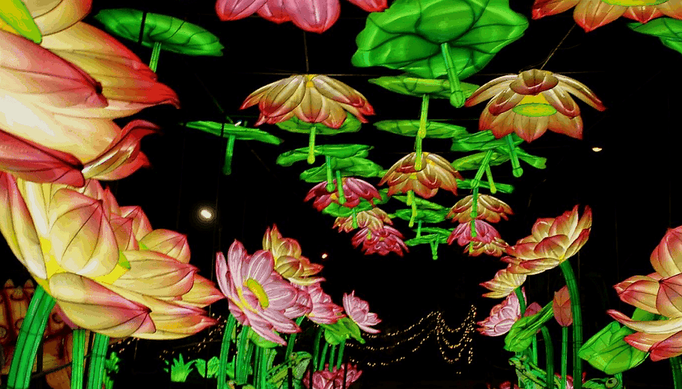 Dinosaur Garden Glow gliwice