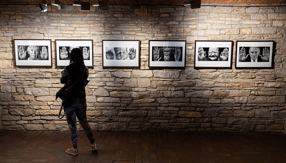 FOTO ART START 2000x1314