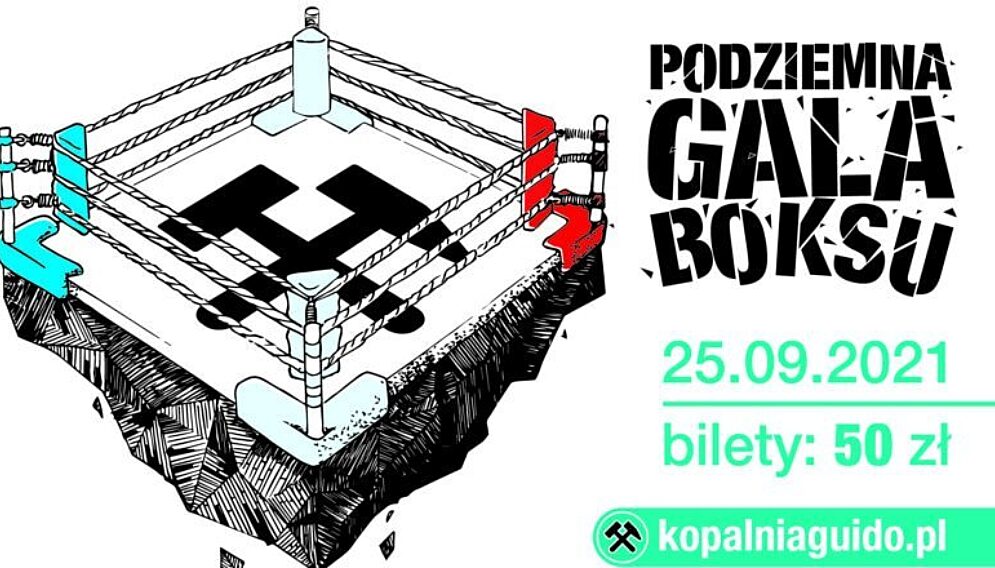 Gala Boksu 870x440