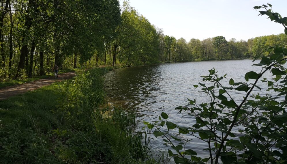 IMG 20230521 160511