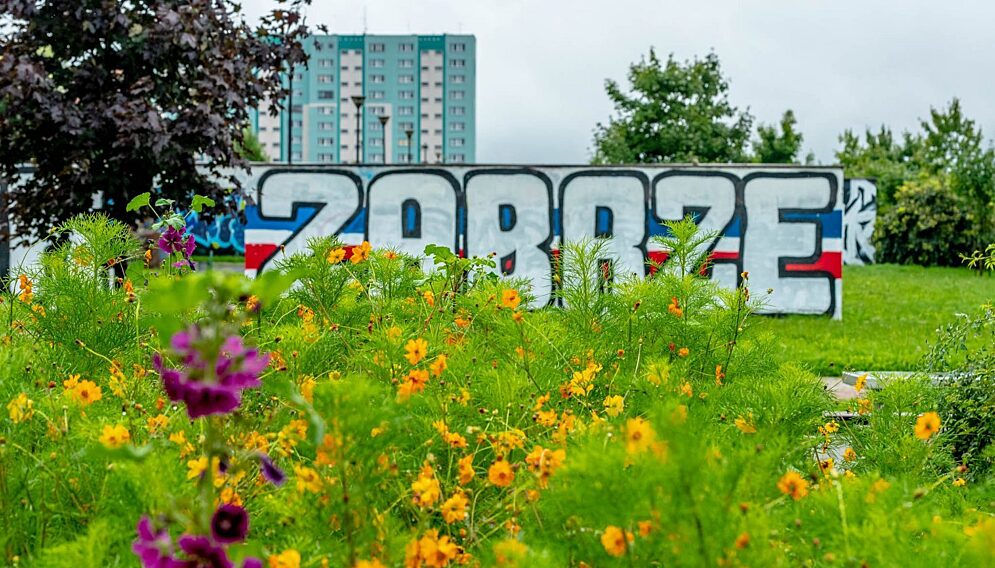 Laki Lomzy Zabrze 5