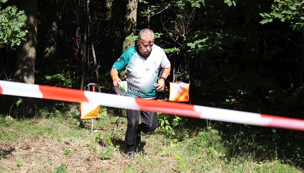 Miechowice Bytom Lasy Panstwowe 29