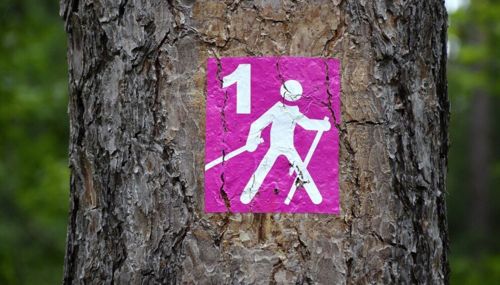 Nordic walking 1