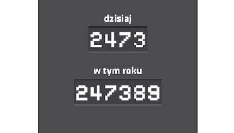 Orientacyjny wyglad wyswietlacza