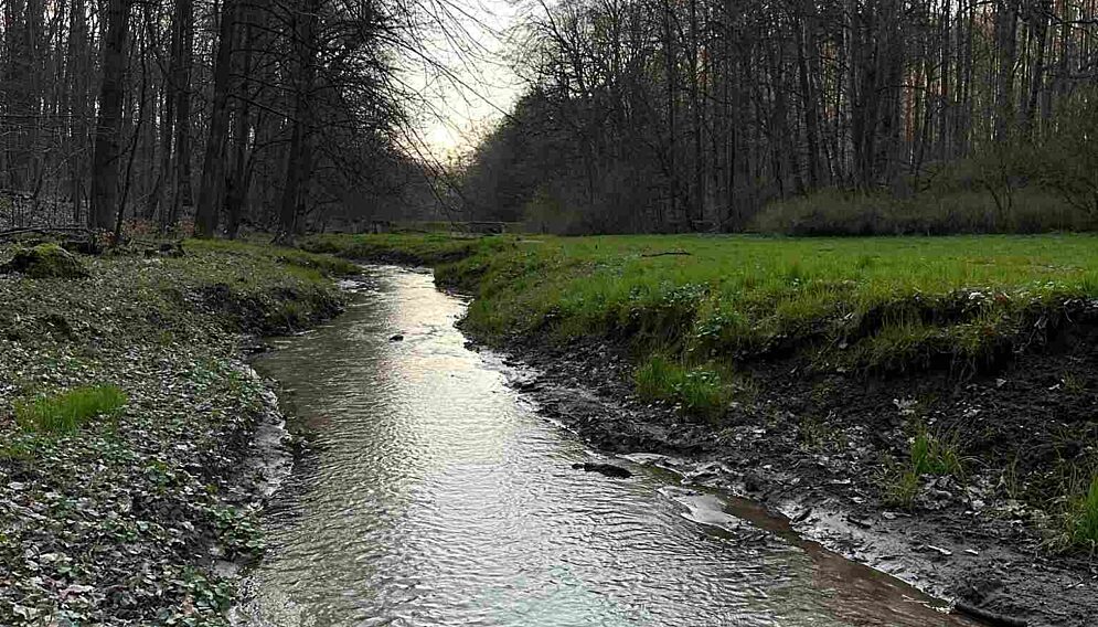 Park Repecki Tarnowskie Góry