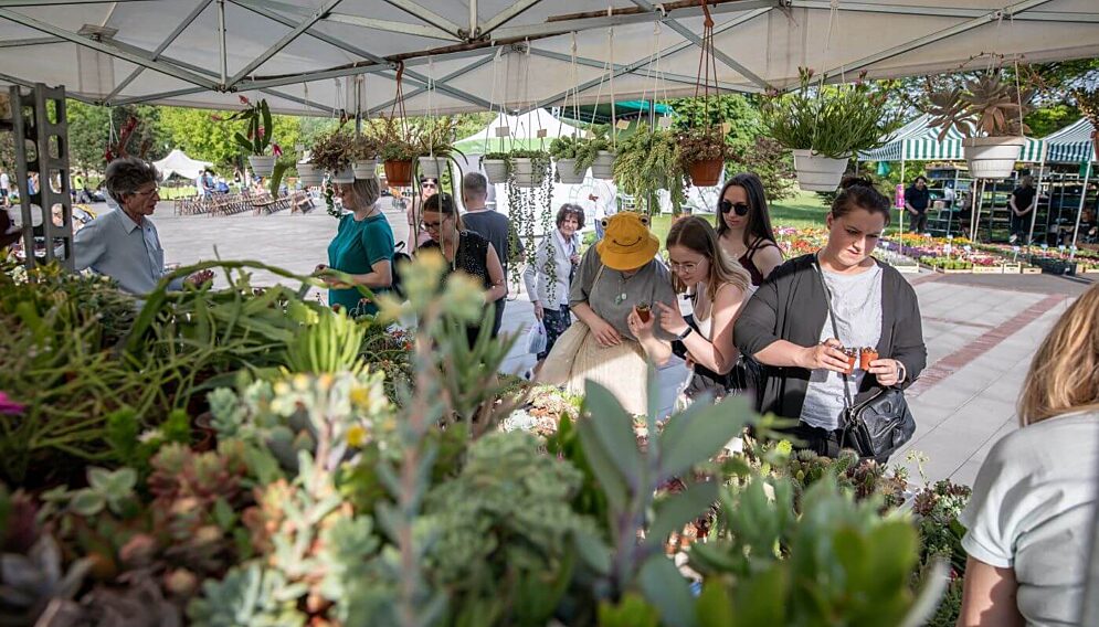 Parkowy Kiermasz Kwiatowy