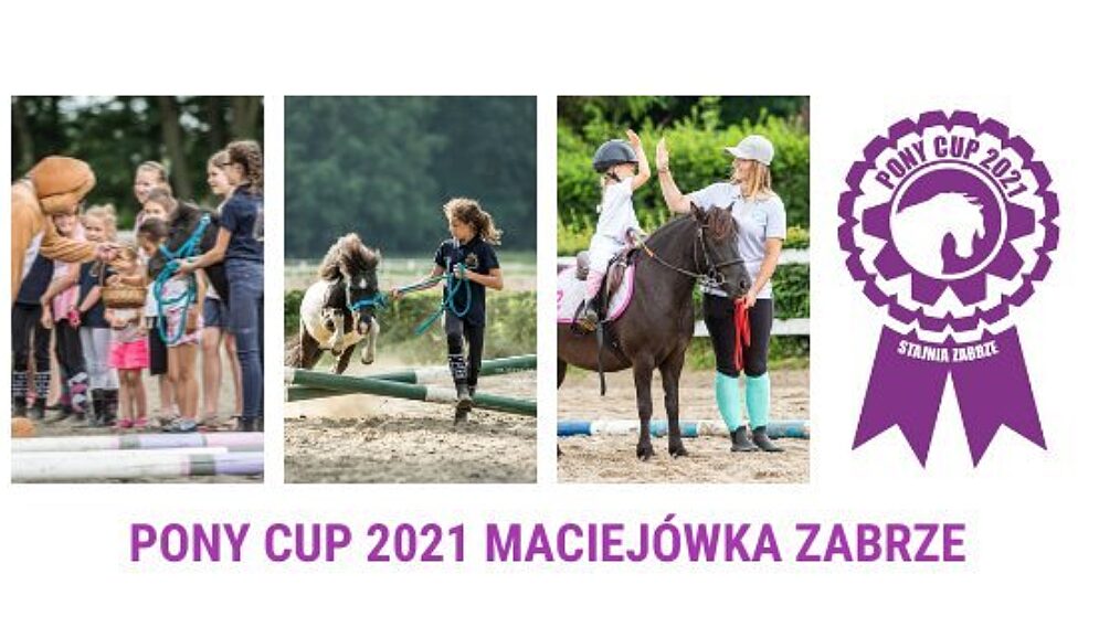 Pony Cup